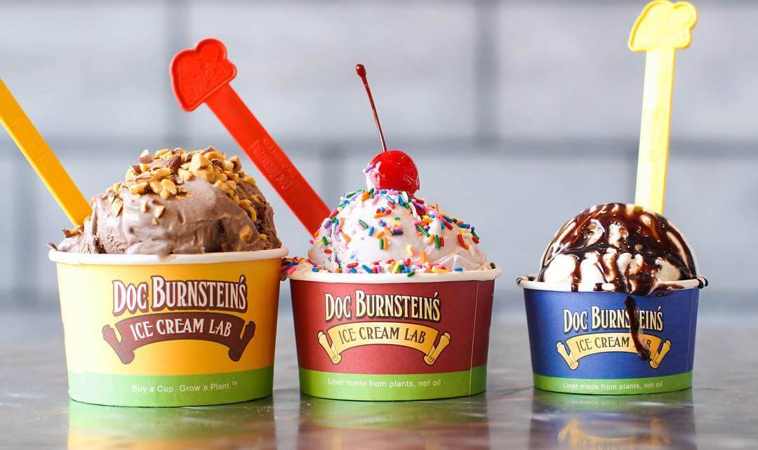 3 Doc Burnstein's Ice Creams 3 sizes