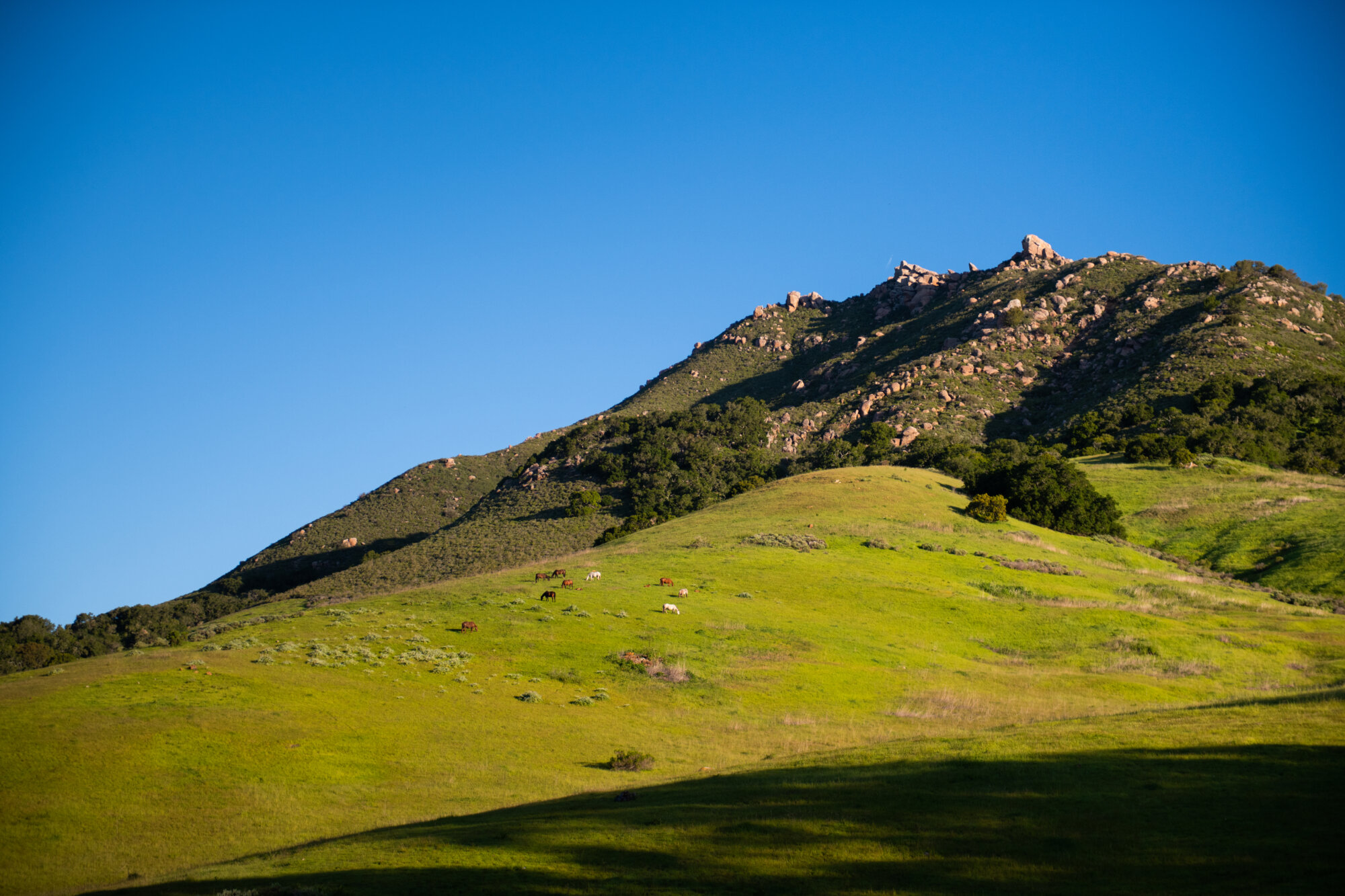 SLO foothills