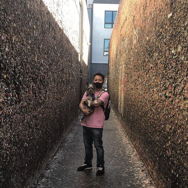 bubblegum-wall