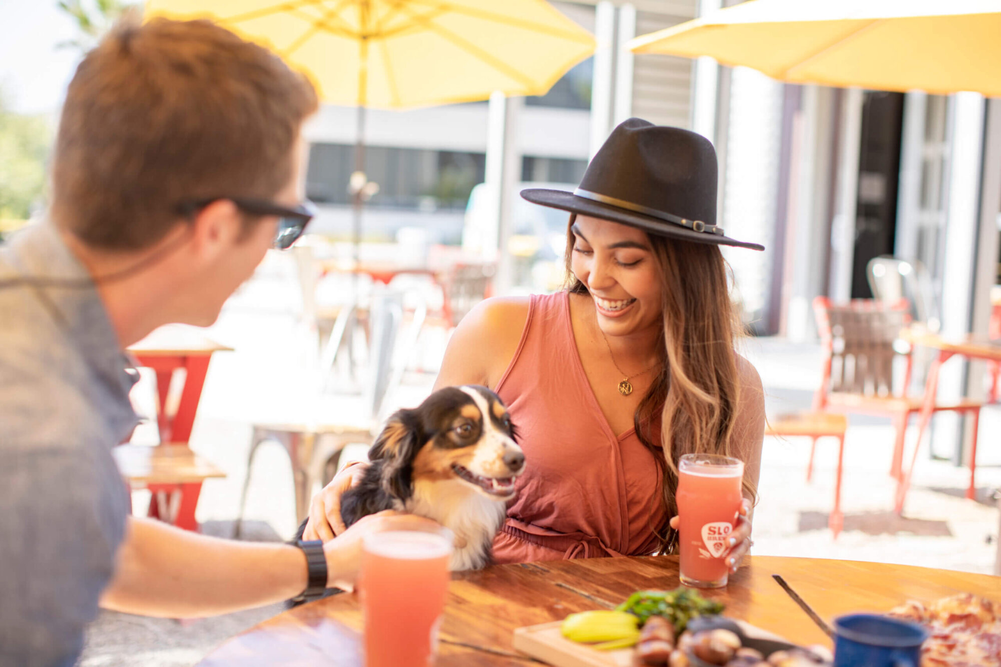 hotels-in-san-luis-obispo-that-allow-dogs