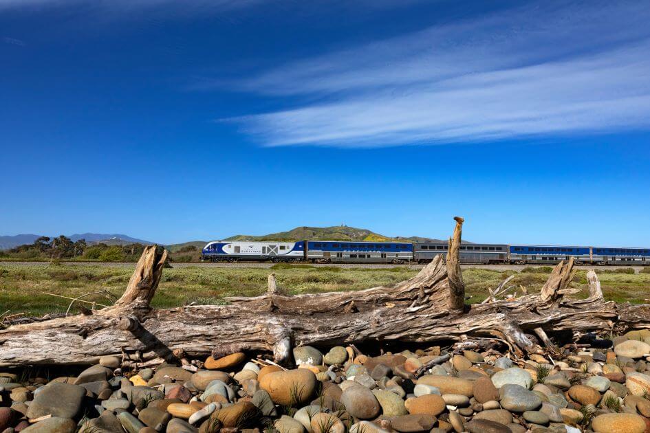 Amtrak Pacific Surfliner by some coastal driftwood and stones